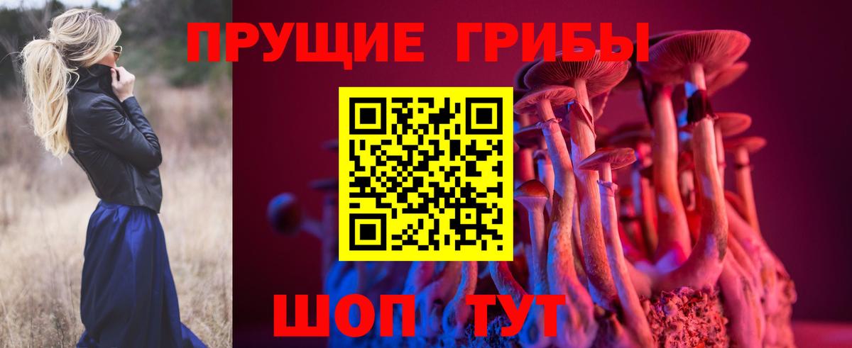 Галлюциногенные грибы GOLDEN TEACHER  Вход с VPN  Саратов 