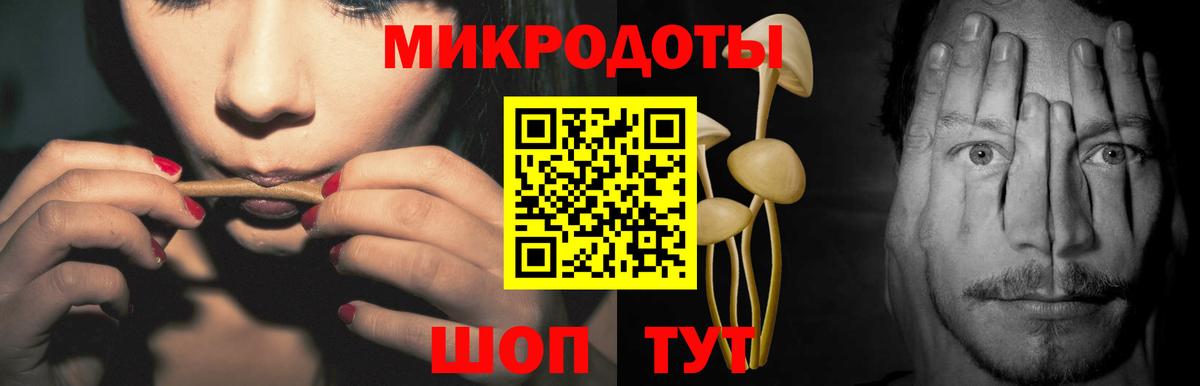 Псилоцибиновые грибы Cubensis Саратов